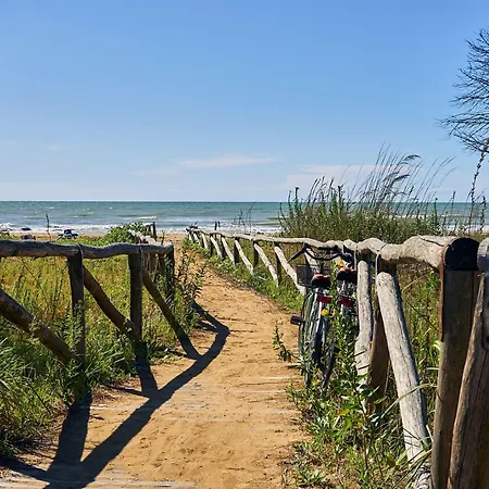 Luminous Just Next To The * Bibione